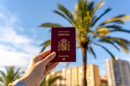 Spanish travel passport. Big palm tree on the background.  Blue skies, woman's hand.  Spanish Citizenship.