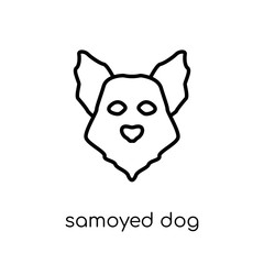 Samoyed dog icon. Trendy modern flat linear vector Samoyed dog icon on white background from thin line dogs collection