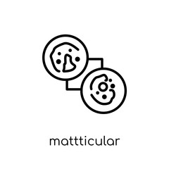 Mattticular syndrome icon. Trendy modern flat linear vector Mattticular syndrome icon on white background from thin line Diseases collection