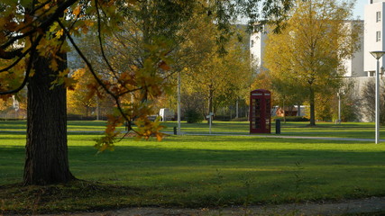 Obraz premium Herbst im Park bei Sonnenschein