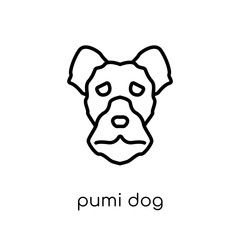 Pumi dog icon. Trendy modern flat linear vector Pumi dog icon on white background from thin line dogs collection