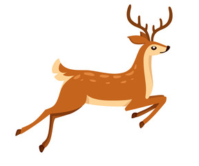 Brown deer run and jump. Hoofed ruminant mammals. Cartoon animal design. Cute deer with antlers. Flat vector illustration isolated on white background