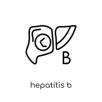 Hepatitis B icon. Trendy modern flat linear vector Hepatitis B icon on white background from thin line Diseases collection