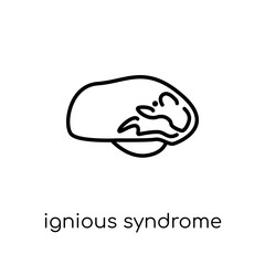 Obraz premium Ignious Syndrome icon. Trendy modern flat linear vector Ignious Syndrome icon on white background from thin line Diseases collection