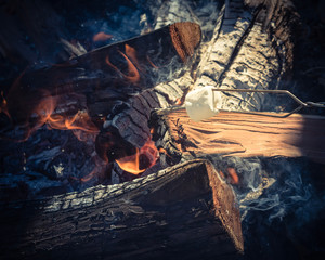 Vintage tone marshmallow on skewers roasting over fire flames of outdoor campfire. Delicious white fluffy roasted sweets