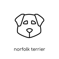 Norfolk Terrier dog icon. Trendy modern flat linear vector Norfolk Terrier dog icon on white background from thin line dogs collection