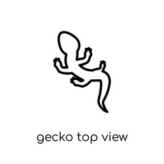 Gecko top view shape icon from Brazilian icons collection.