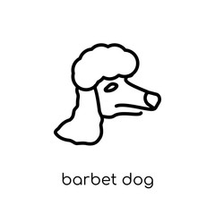Barbet dog icon. Trendy modern flat linear vector Barbet dog icon on white background from thin line dogs collection