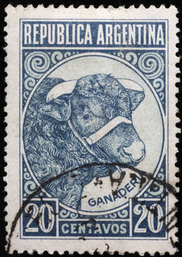 Bull head on argentine postage stamp
