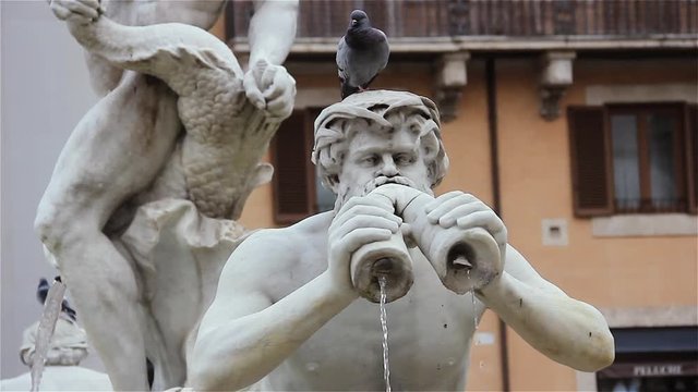 Triton Statue blowing into a Shell with Pigeon on Head, Moor Fountain (Fontana del Moro), in Piazza Navona, Rome, Italy.