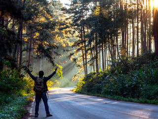 Hiker man with raised hands under the sunlight breaking through the trees at morning time.