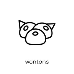 Wontons icon from Chinese Food collection.