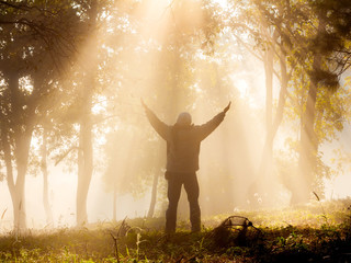 Obraz na płótnie Canvas Happy man with raised hands under the sunlight breaking through the trees at morning time.