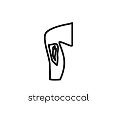 Streptococcal infection icon. Trendy modern flat linear vector Streptococcal infection icon on white background from thin line Diseases collection