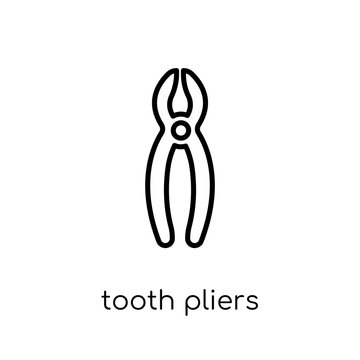 Tooth pliers icon. Trendy modern flat linear vector Tooth pliers icon on white background from thin line Dentist collection