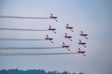 Patrouille Suisse Airplanes