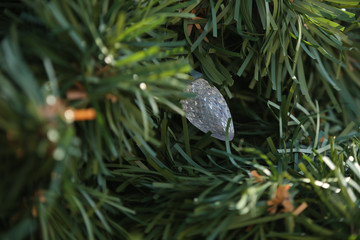Christmas tree with large lights