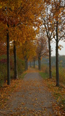 Herbst in der Natur