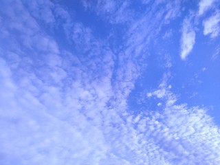 早冬の鰯雲　鱗雲