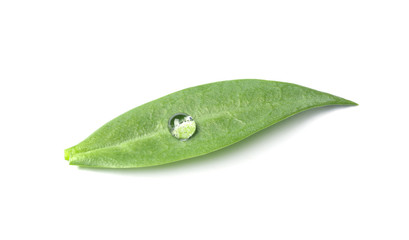 Naklejka na ściany i meble Green leaf with water drop isolated on white