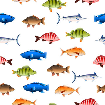 Various Australian fish seamless pattern