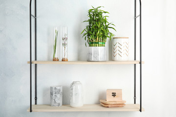 Naklejka premium Shelves with green lucky bamboo in pot and decor on light wall