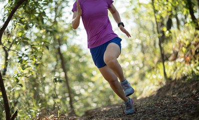 Woman trail runner running in forest mountain