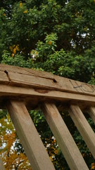 Naklejka premium Parks und Landschaft im Herbst