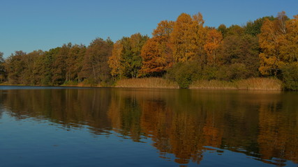 Fototapeta na wymiar Herbst in der Natur bei Sonnenschein