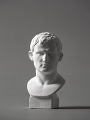 Agrippa plaster figure. for drawing.