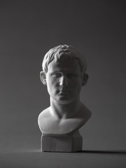 Agrippa plaster figure. for drawing.