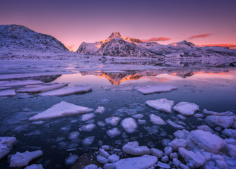 Floating ice in the sea against snowy mountains and pink sky at beautiful sunset. Lofoten islands, Norway. Winter landscape with frosty coast, rocks, reflection in water in cold evening. Seascape