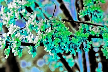 Abstract Flowers on a Tree