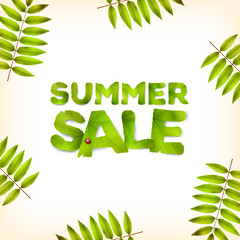 Fototapeta premium Vector summer square background, green leaves and the inscription Summer Sale, made from green leaves, isolated on white background.