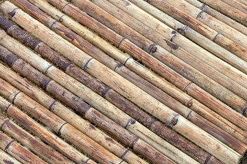 Close background bamboo bridge with dew.