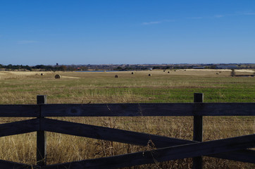 Fototapeta premium Board fence with rolls of coastal bermuda hay in large pasture - Texas