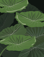  fern in river, green leaves