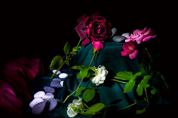 Fototapeta na wymiar Fiore - Rosa - rosso - floreale - giardino - amore - primavera 