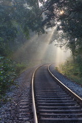 Rays of morning sun on railway tracks 5640