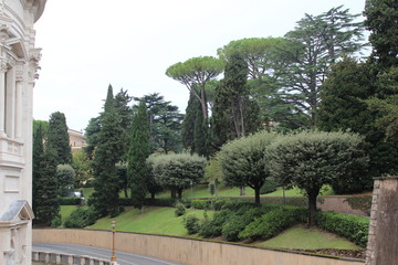 Beautiful tree lined road landscape