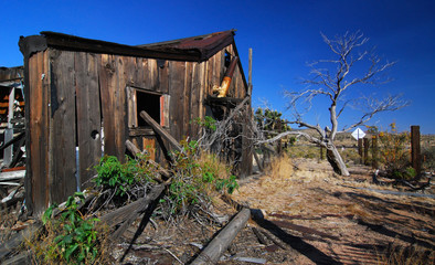 Abandoned (Cima, Arizona)