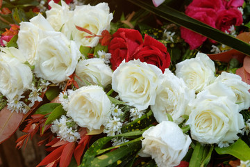 Blooming white and red roses in morning market