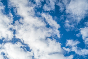 Fototapeta premium blue sky with white clouds