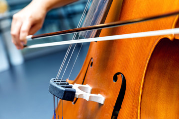 Close up of cello with bow in hands © Sergey Nivens