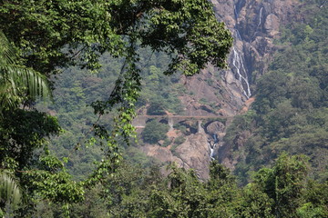 Dudhsagar Falls seen from forest 5796