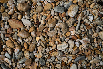 Many small stone brown color tone background.