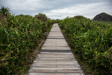 Obraz premium Hiking wooden trail path