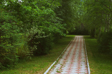 Obraz premium paths in the Park