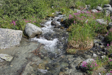 Joffre Creek in Joffre Lakes Provincial Park, British Columbia, Canada.