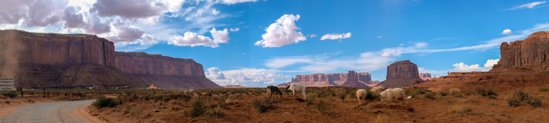 Fototapeta na wymiar Monument Valley view